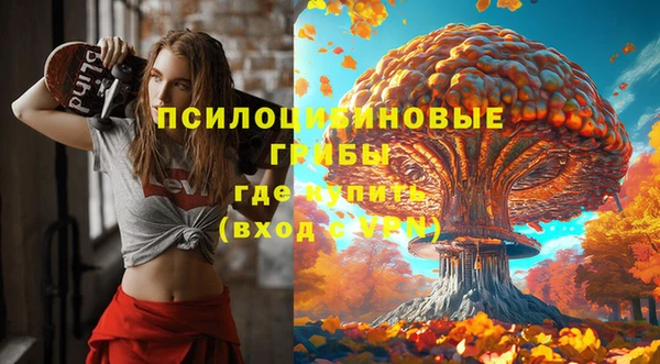 кокс Баксан