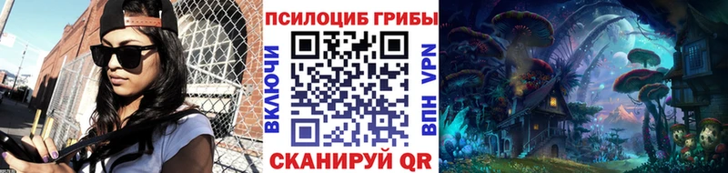 Галлюциногенные грибы Cubensis  Черняховск 